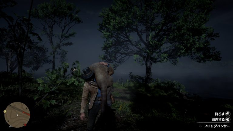 Red Dead Redemption 2 Legendärer Panther 【RDR2】パンサーがいる場所とヒョウ/パンサーの毛皮（最良）の入手方法 - GameFoliage