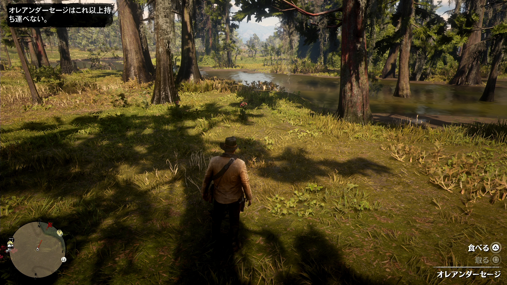 【RDR2】オレアンダーセージの入手方法 ゴボウとワイルドミントの採取場所