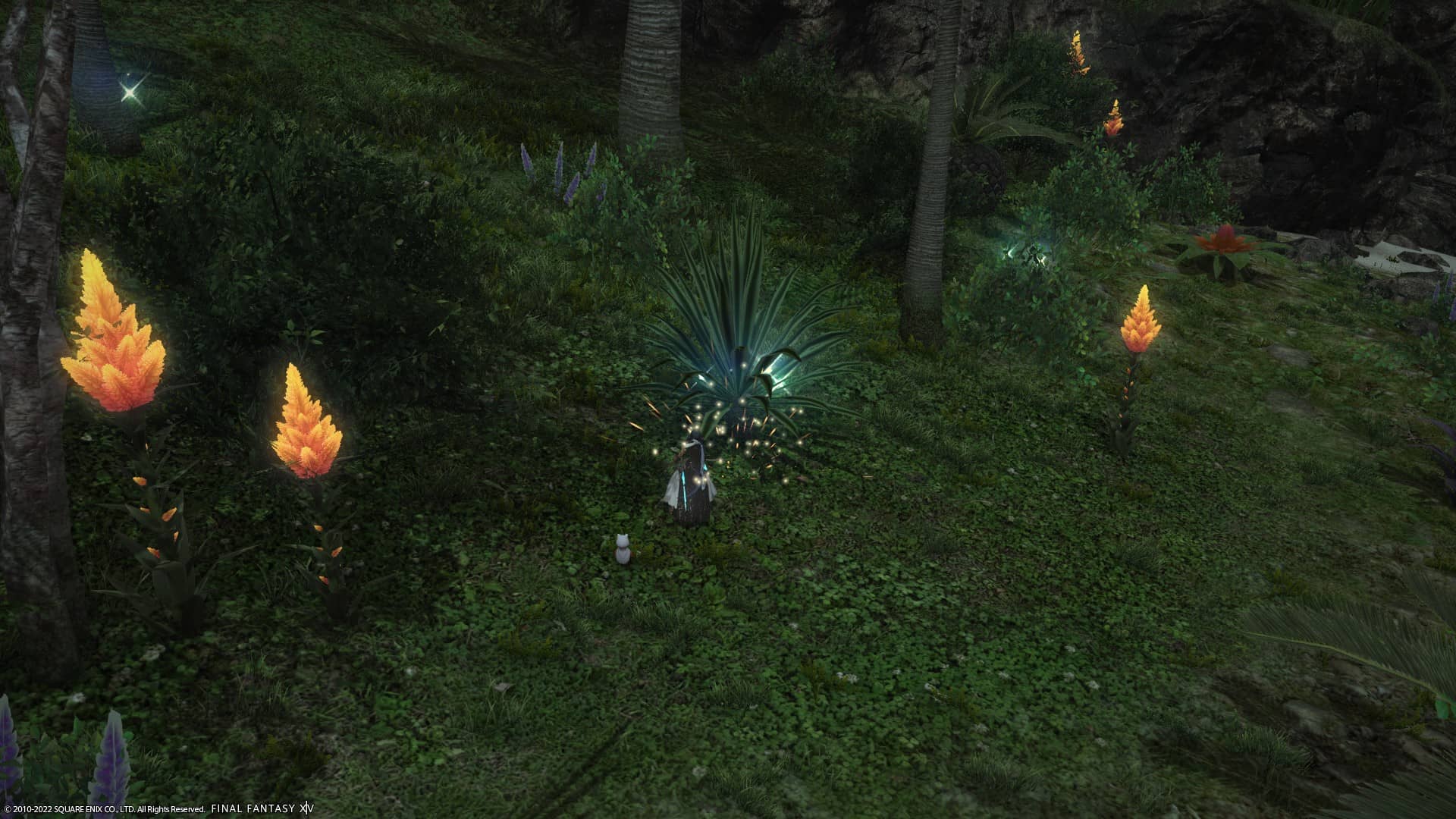 【FF14】無人島のつると無人島の麻の場所 大量採取できるポイント