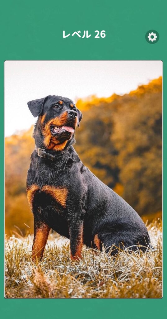 美しい写真と連鎖が気持ちいいジグソーパズル